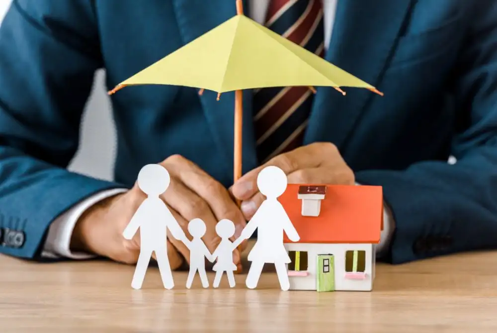 Contigo Seguros Soluciones de seguros y palizas